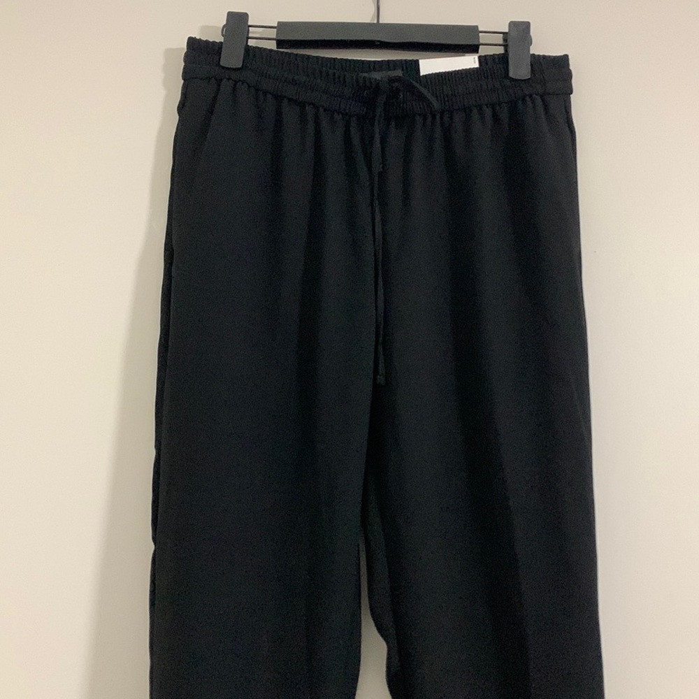 Express Jogger Dressy Pants